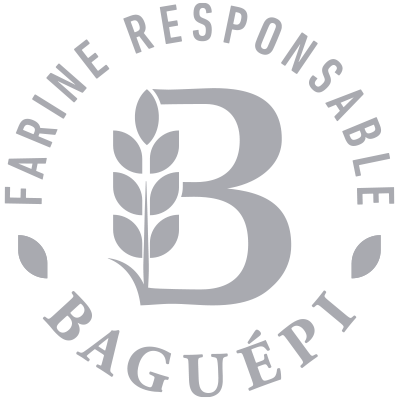logo baguepi
